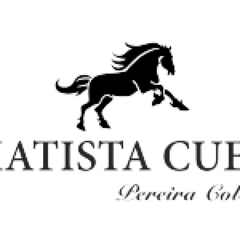 -AMATISTA CUEROLOGO-14-100