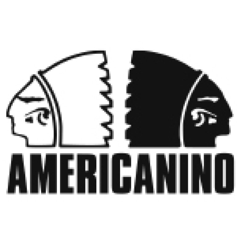 CAMERICANINO LOGO-60-100