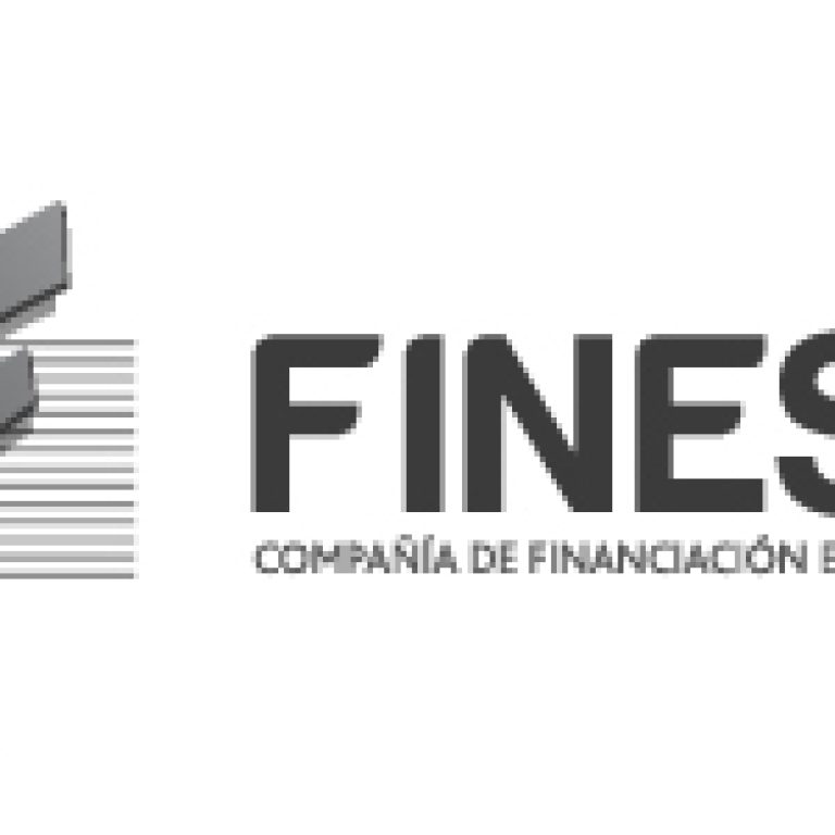 FINESA LOGO-47-100