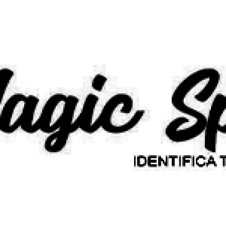 LOGO__0000_MAGIC SPA
